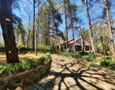 Cabañas la mancha, casa Dulcinea