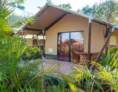 Serenity Glamping- Tiendas de lujo en la selva de la Riviera Maya