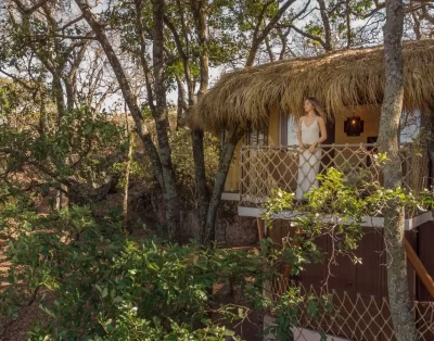 Cabaña Elevada sobre los árboles – Villa Doble