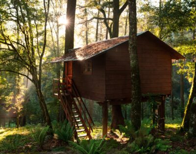 Cabaña en el árbol